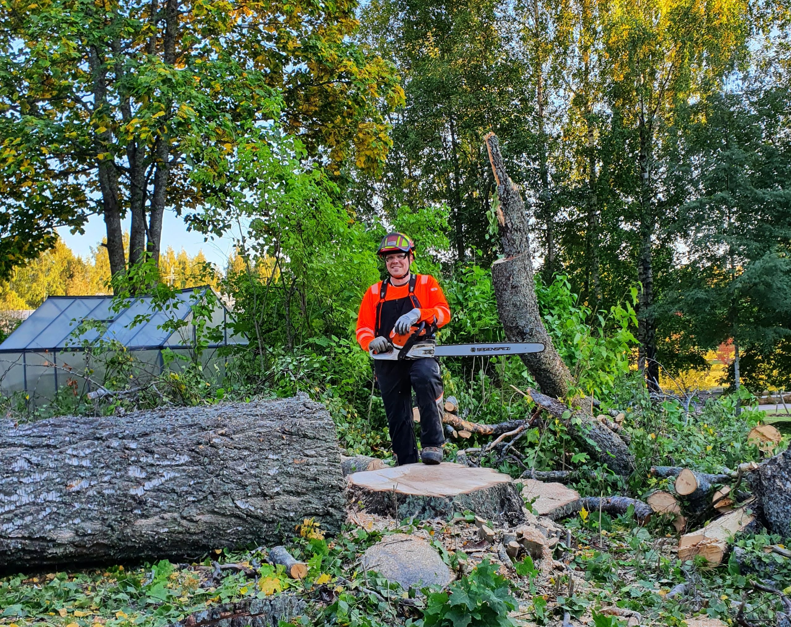 Tonttihakkuut suorakaato