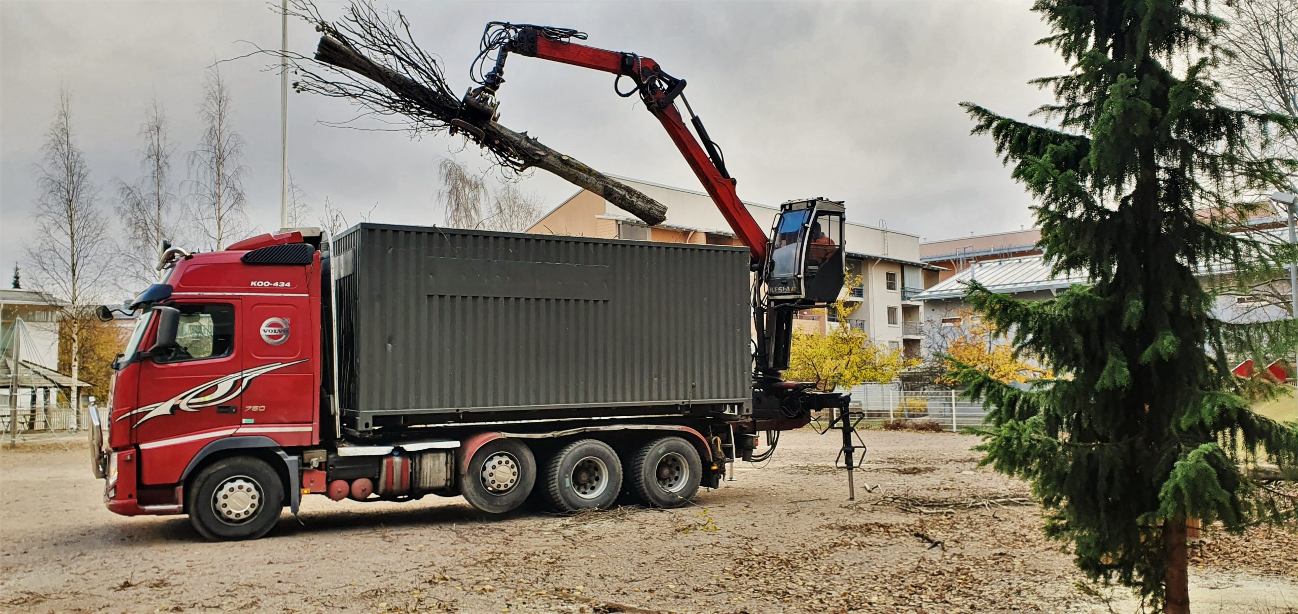 Kuvia asiakkaiden kohteista, Oksien ja runkojen poisvienti
