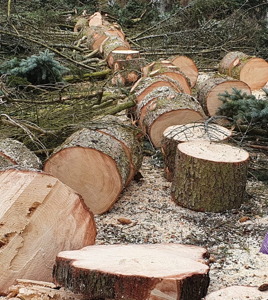 Kuvia asiakkaiden kohteista