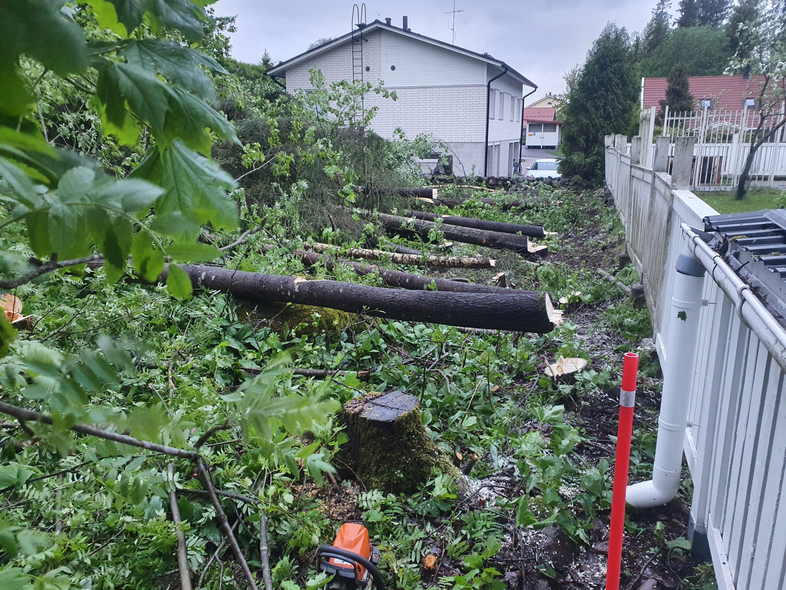 Kuvia asiakkaiden kohteista tonttihakkuut