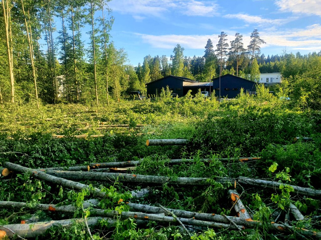 Kuvia asiakkaiden kohteista, tonttihakkuut