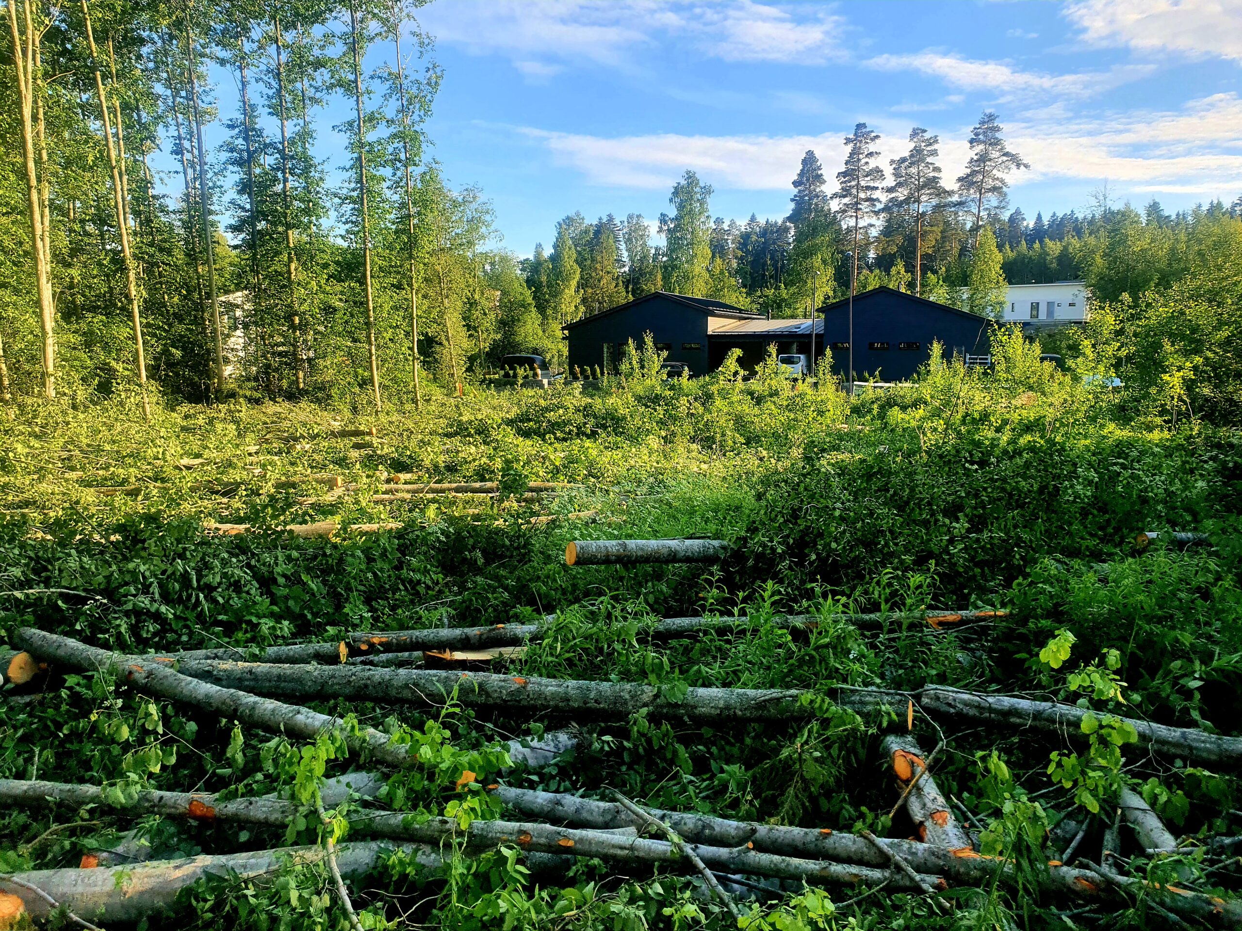 Kuvia asiakkaiden kohteista tonttihakkuut