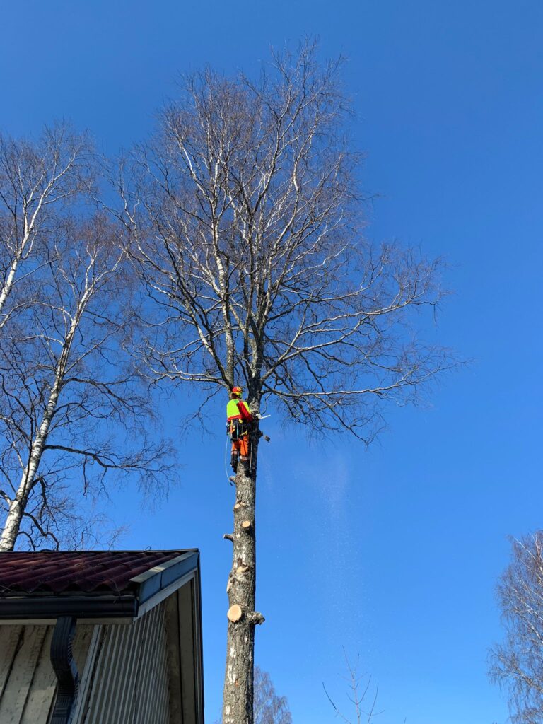 Kuvia asiakkaiden kohteista