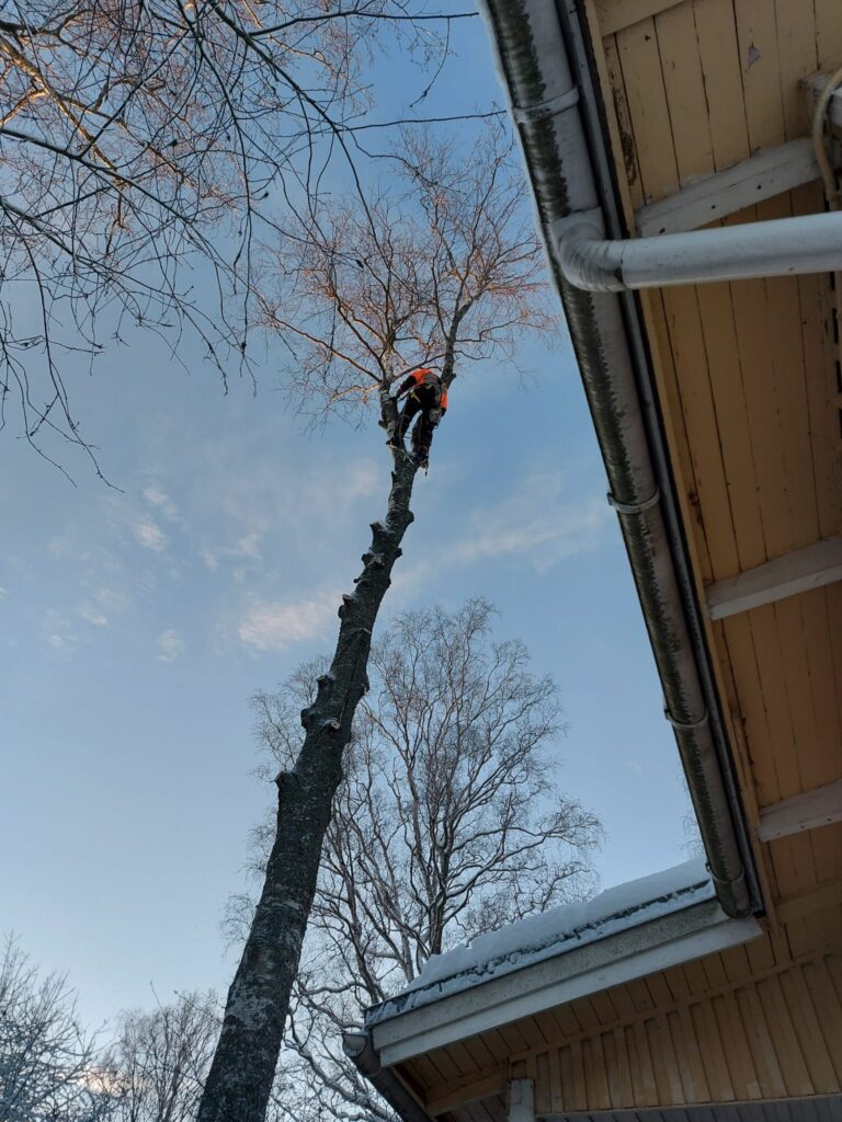 Kuvia asiakkaiden kohteista