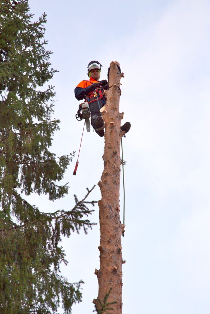 Kuvia asiakkaiden kohteista