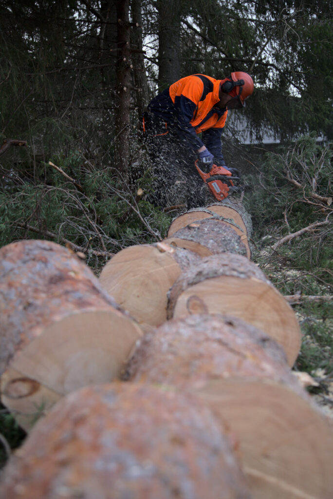 Kuvia asiakkaiden kohteista