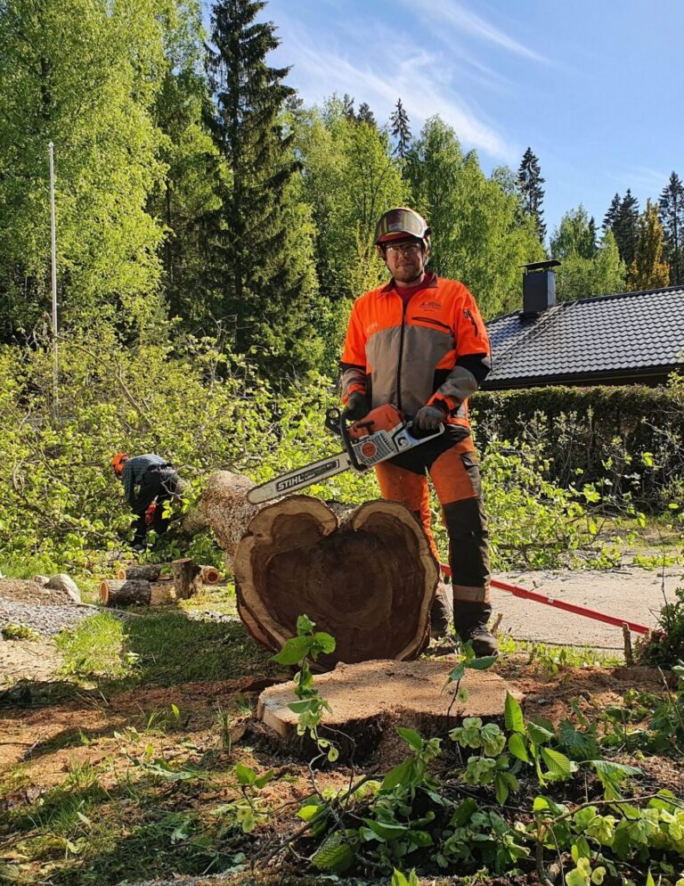 Tapanila Timber Service - Puunkaatoa pääkaupunkiseudulla