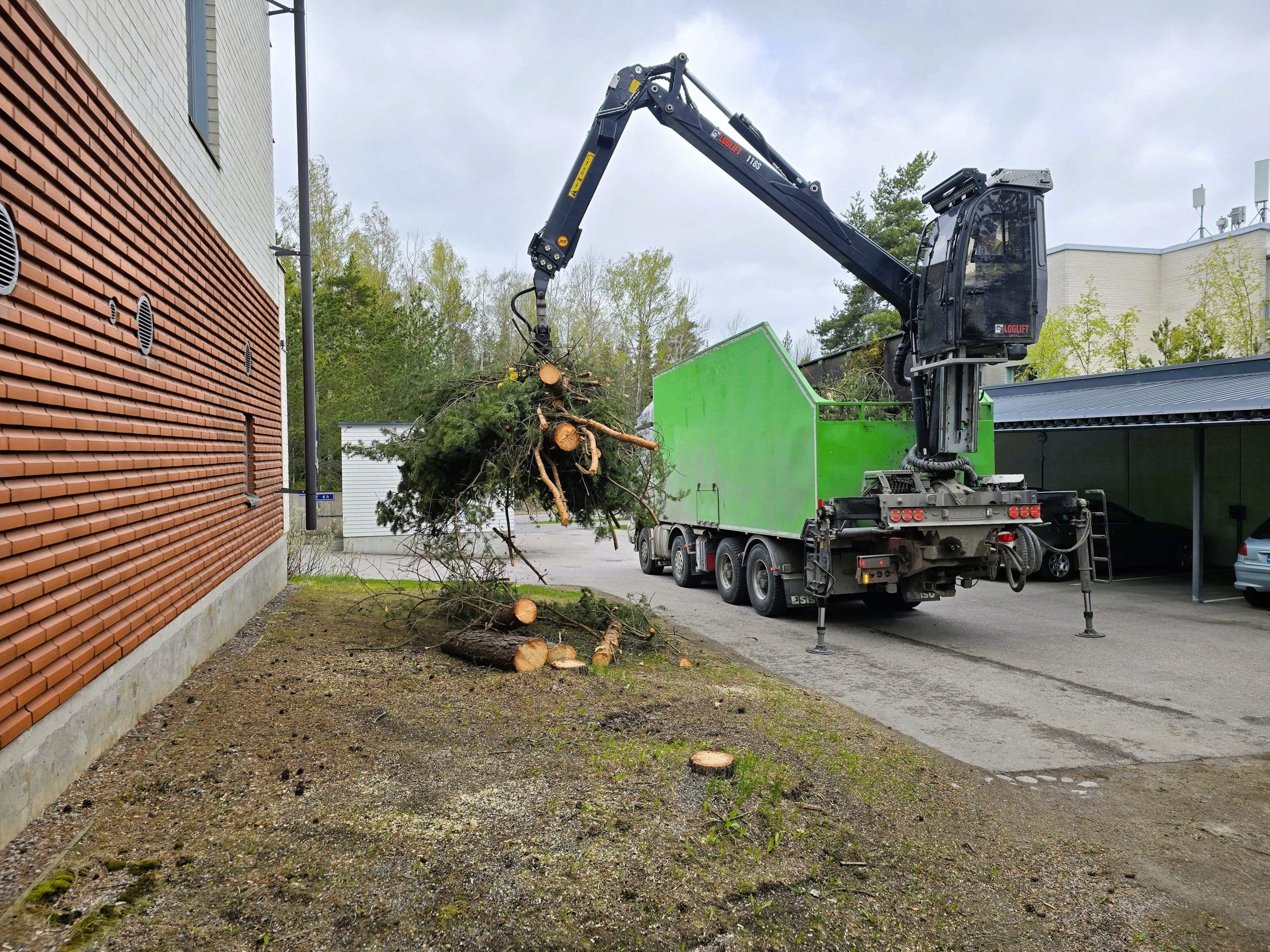Oksien ja runkojen poisvienti